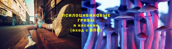 mdpv Инсар