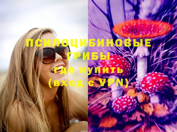 трава Каменногорск